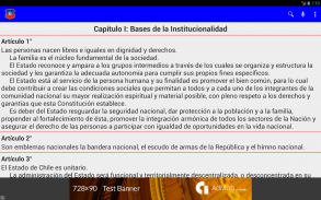 Constitución de Chile screenshot 9