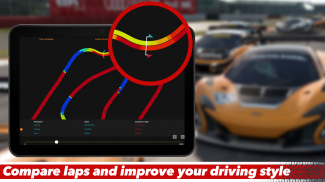 Sim Racing Telemetry screenshot 8