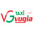 Vu Gia Taxi