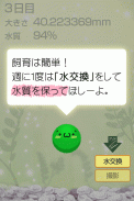 ゆる〜く まりも育成 screenshot 1