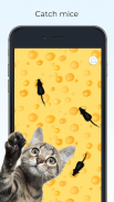 Meow - Játékok Macskáknak screenshot 9