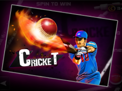 Cricket 3D screenshot 1