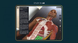 Complete Anatomy 2024 screenshot 9