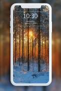 Hình nền mùa đông screenshot 6