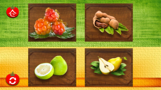 Spelling Game - Fruit Vegetable Spelling learning screenshot 11