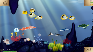 Coral Reef screenshot 6