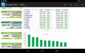 XLCubed Report Viewer screenshot 0