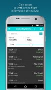 Moscow Domodedovo Airport screenshot 9