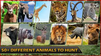 Wild Hunter Animal Hunt Games screenshot 4