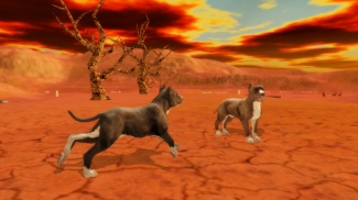 Pitbull Dog Simulator screenshot 9