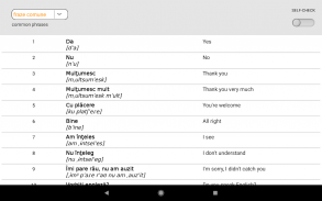 Learn Romanian words with ST screenshot 12