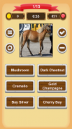 Horse Coat Colors Quiz screenshot 14