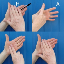 British Sign Language. A Beginners Guide