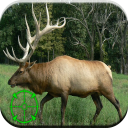 Elk Hunting Calls Icon