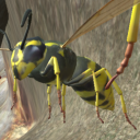Wasp Nest Simulator - Insect and 3d animal game Icon