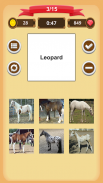 Horse Coat Colors Quiz screenshot 10