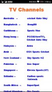 Newsbring Cricket IPLlive screenshot 1