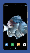 Betta Fish Wallpaper HD screenshot 10