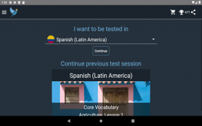 Latin American Spanish Tests screenshot 22