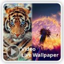 Animal & Nature Wallpapers with Video Icon