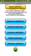 Epithelial Tissue screenshot 3