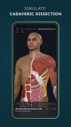 Complete Anatomy 2024 screenshot 15