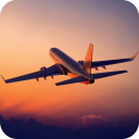 Plane Wallpaper Icon