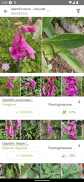 プラントネット (PlantNet) 植物図鑑アプリ screenshot 6