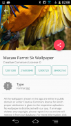HD Wallpapers For Mobile Phones screenshot 1