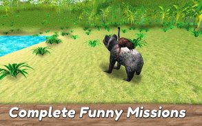 Koala Family Simulator - try Australian wildlife! screenshot 9