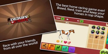 Derby Horse Quest screenshot 4
