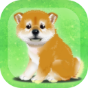 癒しの子犬育成ゲーム〜柴犬編〜 Icon