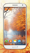 Autumn Live Wallpaper HD screenshot 0