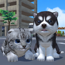 Cute Pocket Cat And Puppy 3D