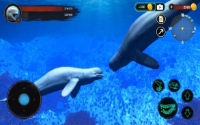 The Beluga Whale screenshot 17