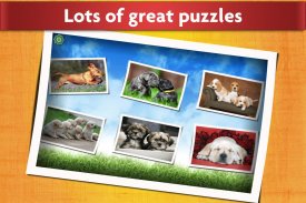 Dogs Jigsaw Puzzles Games Kids screenshot 1