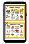 Acid Reflux Diet Guidelines screenshot 0