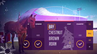 Customize Winter Racing Horse screenshot 1