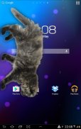 Cat Walks in Phone Cute Joke screenshot 3