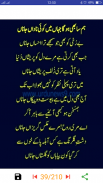 Pir naseer ud din naseer kalam screenshot 2