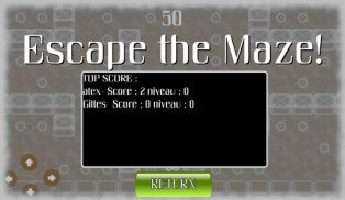 Escape the maze screenshot 2