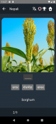 Nepali Language Tests screenshot 12