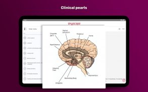 PsychNotes: Clinical Pkt Guide screenshot 20