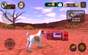 Jack Russell Terrier Simulator screenshot 14