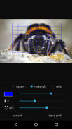 Painter's Grid screenshot 2