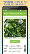 PlantID - Identifica Plantas screenshot 4