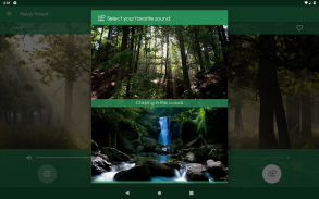 Relájese Bosque ~ Sonidos de la naturaleza screenshot 11