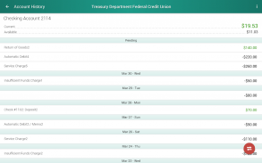 Treasury Department FCU screenshot 3