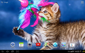 Cat Live Wallpaper screenshot 1