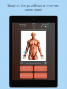 Anatomist – Anatomie Quiz Jeu screenshot 6